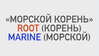 Компания Аврора представляет Румарин ROOMARINE ( Морской корень ) !