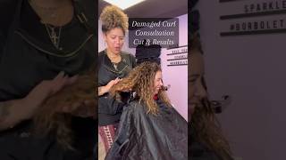 Damaged Curly Hair Cut + Transformation #curlyhair #haircut #hairtransformation