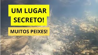 UM LUGAR SECRETO NA MATA! Pescaria de lambari