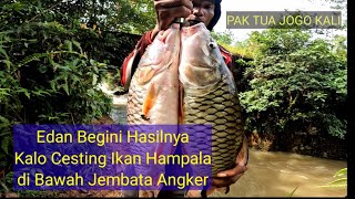 Cesting Ikan Hampal Di Bawah Jembatan Keramat Begini Hasilnya#