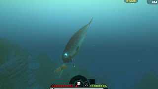 Feed and Grow: Fish Narwhal