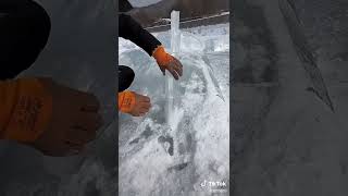 Dragon ice sculpture