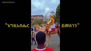 አስገራሚ የጥምቀት ገጠመኞች። #ጥምቀት #ኦርቶዶክስ #ethiopianorthodoxtewahedochurch