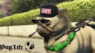 GTA V FUN AND FUNNY MOMETS(Pug squad, phantom cashier, and more!)