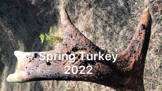 Spring Turkey 2022