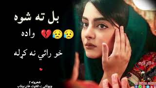 بل ته شوه واده خو رائې نه کړله|منیر بنیری غزل|Pashto new 2024 Shairi|Best pashto shayeri|#sadpoetry