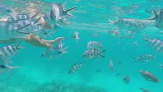 Snorkeling Ile des deux Cocos - Ile Maurice