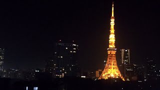 View from hotel on Tokyo Tower