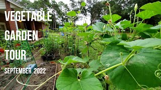 Vegetable garden tour: What I'm growing in Fall season