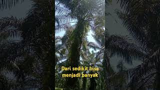 Dari miskin bisa menjadi kaya