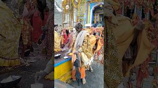 आज हुए महादेव के भक्त के दर्शन | Kedarnath Yatra 2024 #shorts #kedarnath