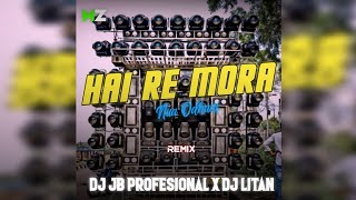 HAI RE MORA NUA ODHANI || REMIX || DJ JB PROFESSIONAL X DJ LITAN