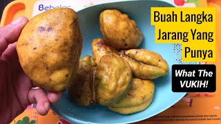 Cara Makan Buah Nam Nam (Pukih) Yang Enak, Dijamin Ketagihan