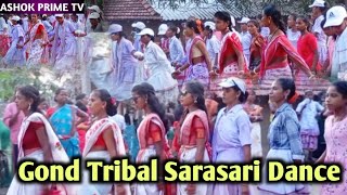 Gond Tribal Sarasari Dance || Gorakhunta, Malkangiri || Indian Adivasi || Ashok Prime TV ||