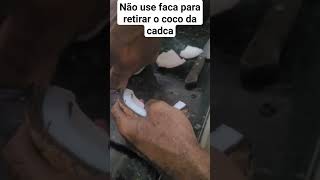 Não utilize faca para retirar o coco da casca. Use uma colher. #coco #cristo #jesus #pascoa