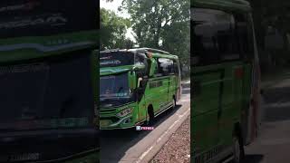 Telolet Basuri Abrizam Kizam Trans #busmaniacomunity #trending #basuri