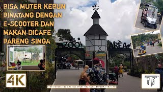 Bisa muter kebun binatang dengan E-Scooter dan makan dicafe bareng singa 🦁⁉️  | Lembang Park&Zoo【4K】