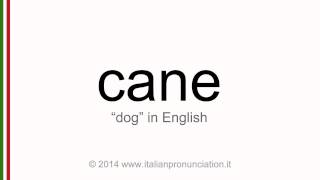 Correct italian pronunciation of cane, dog