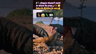 Komodo dragon🦎don't share its prey🥩 | Komodo dragon swallow the goat | @Wildshikaari007 | #shorts