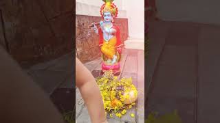 രാധയുടെ ഉണ്ണിക്കണ്ണന്മാർ #vishu #trendingshorts