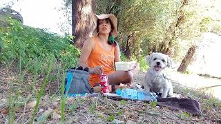 picnic about 36° in Croatia 🇭🇷/alone with my dog in the forest /I am not afraid 🫣/SOLO