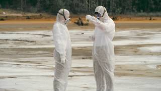 🎁4K Researchers collecting plant samples, making experiments, infected area | DAILY NATURE FOOTAGE