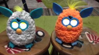 Duo Furby in Gangnam Style