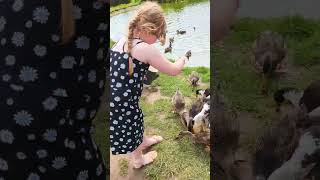 The Duck Doctor! #family #fun #youtubeshorts #animals #duck