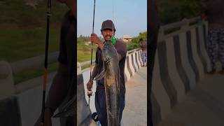 😱💥Unexpected Giant snake head fish catch..💥🤩#fishing #fishinglife #snakehead