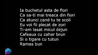 ANTONIA feat. Connect-R - Adio (LYRICS-VERSURI)