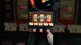 showtime spectacular fruit machine