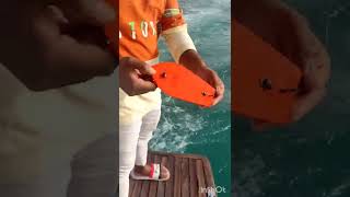 how to use trolling board.catch barracuda fish.