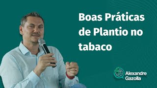 Alexandre Gazolla | Boas Práticas de Plantio no tabaco