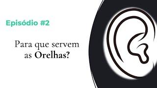 #EPISÓDIO 2 - Para que servem as orelhas?