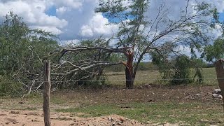 Estrago da chuva do dia 31 de dezembro e primeiro de janeiro em CACHOEIRINHA-pe