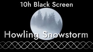 Heavy Snow Storm Whistling and Howling - Sleep Sounds (10 hours with black screen)