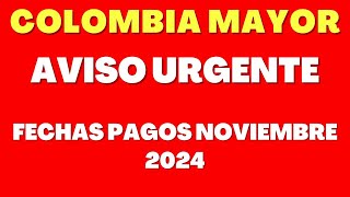 🔔📅 COLOMBIA MAYOR PAGOS NOVIEMBRE 2024 🔔 INFORMACIÓN FECHAS DE PAGO ADULTOS MAYORES