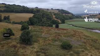 Rewilding at Sharpham 2020-23 - aerial drone before & after footage