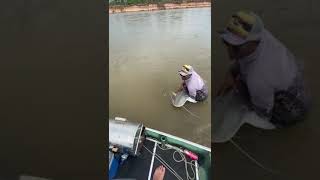 pesca pintado - anzol pego em anzou😱🤠