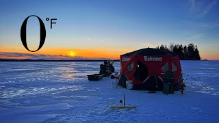 WINTER CAMPING on the ICE // Fried Cusk/Burbot in Bear Grease // Ice Fishing Northern Maine