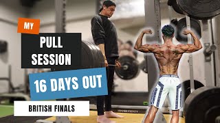 FULL PULL SESSION 16 DAYS OUT FROM UKDFBA BRITISH FINALS