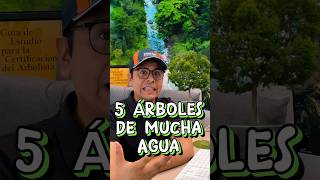 5 Árboles de mucha hidratación🌲🌳‼️ #árboles #plantas #arboles #vivero  #arboriculture #naturaleza