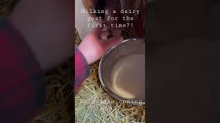 Want to learn how to hand milk a dairy goat? Follow us on our journey! DIY videos coming soon 🤙🏻