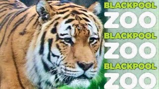 BLACKPOOL ZOO 2021 PART 1