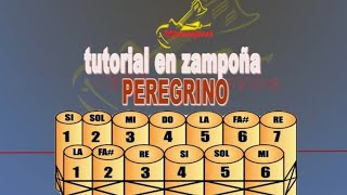 TUTORIAL / ZAMPOÑA / PEREGRINO 2022