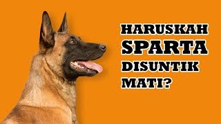 Tanggapan Tentang Anjing Belgian Malinois (Sparta) Menyerang ART Hingga Tewas