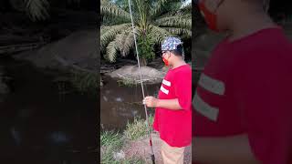 mancing maning