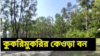 কেওড়া বনের মধ্যে দিয়ে হেটে কুকরিমুকরি পার।