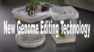 The Challenge with TiD – New Genome Editing Technology -