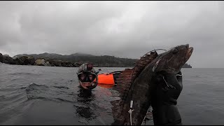 Spearfishing for Lingcod at the Neah Bay Jetty on Opening Day